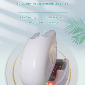 BTWS Steam Spa Sauna Capsule Pod (BW609)